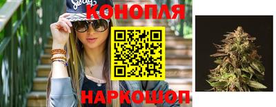 гидра Обнинск