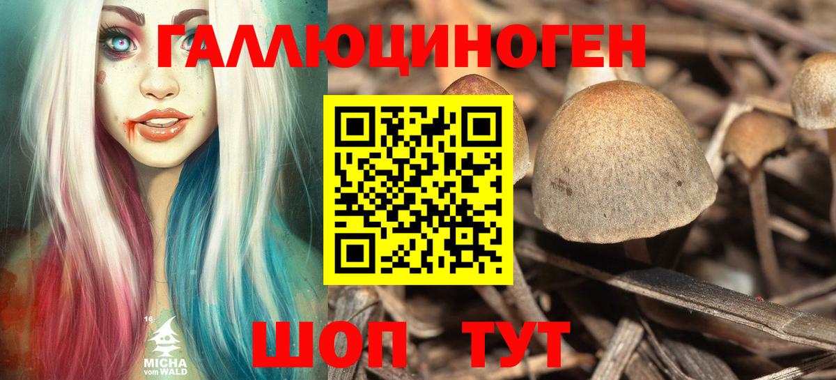 где можно купить наркотик  Псилоцибиновые грибы Psilocybe  Вход с VPN  Татарск  Псилоцибиновые грибы Magic Shrooms 